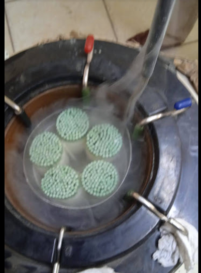 Pajillas de Semen Congelado
